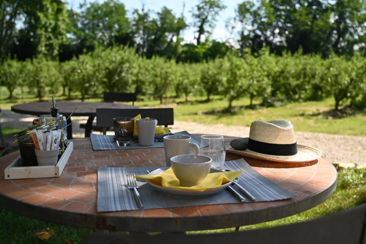 Mas De Capelou Bed & Breakfast Avignon Ngoại thất bức ảnh