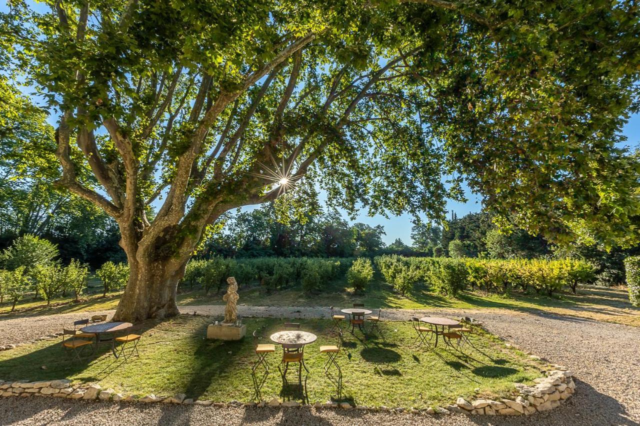 Mas De Capelou Bed & Breakfast Avignon Ngoại thất bức ảnh