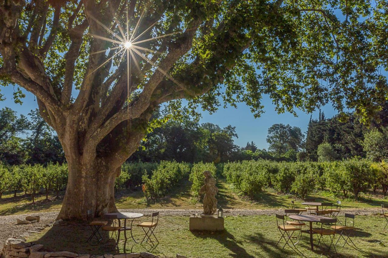 Mas De Capelou Bed & Breakfast Avignon Ngoại thất bức ảnh